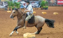 Grêmio domina e vence o Grenal 439