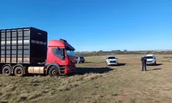 Homem é preso por dirigir embriagado na Rua 15 de Novembro