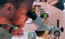 Câmara sedia etapa final do Projeto Leap Hubs BR