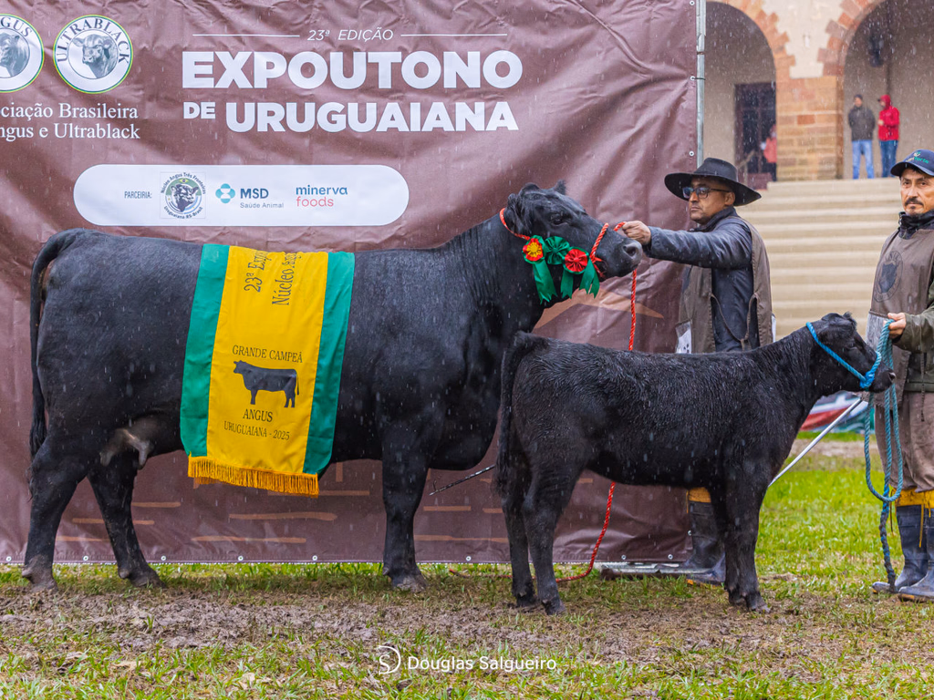 Seapi divulga calendário oficial de feiras agropecuárias de 2026