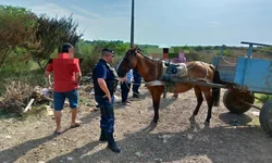 Duas pessoas encaminhadas à Delegacia por crime ambiental