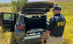 PL obriga que estabelecimentos auxiliem mulheres em situação de risco