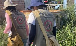 Primeiro boletim do ano não registra casos de dengue