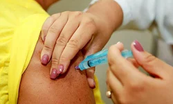 Profissionais esclarecem dúvidas sobre castração de animais