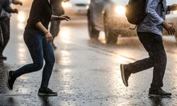 Uruguaiana chega a 42 casos confirmados de dengue neste ano