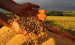 Ministra dá posse aos novos secretários do Mapa