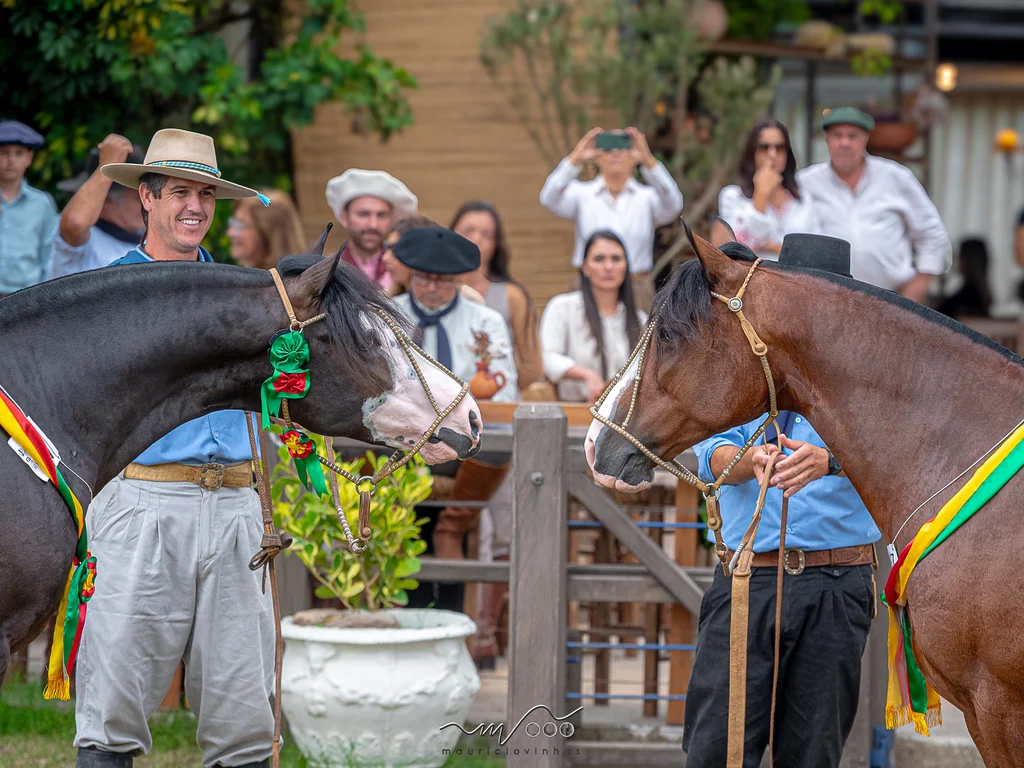Exposição Passaporte em Bagé define oito nomes para a final