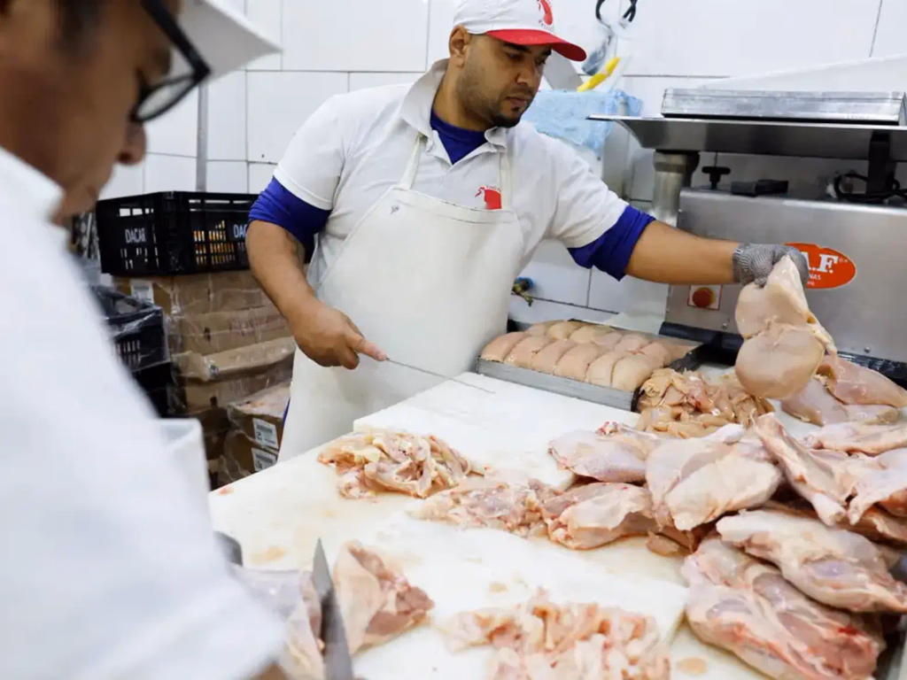 Brasil volta a ser país livre da gripe aviária