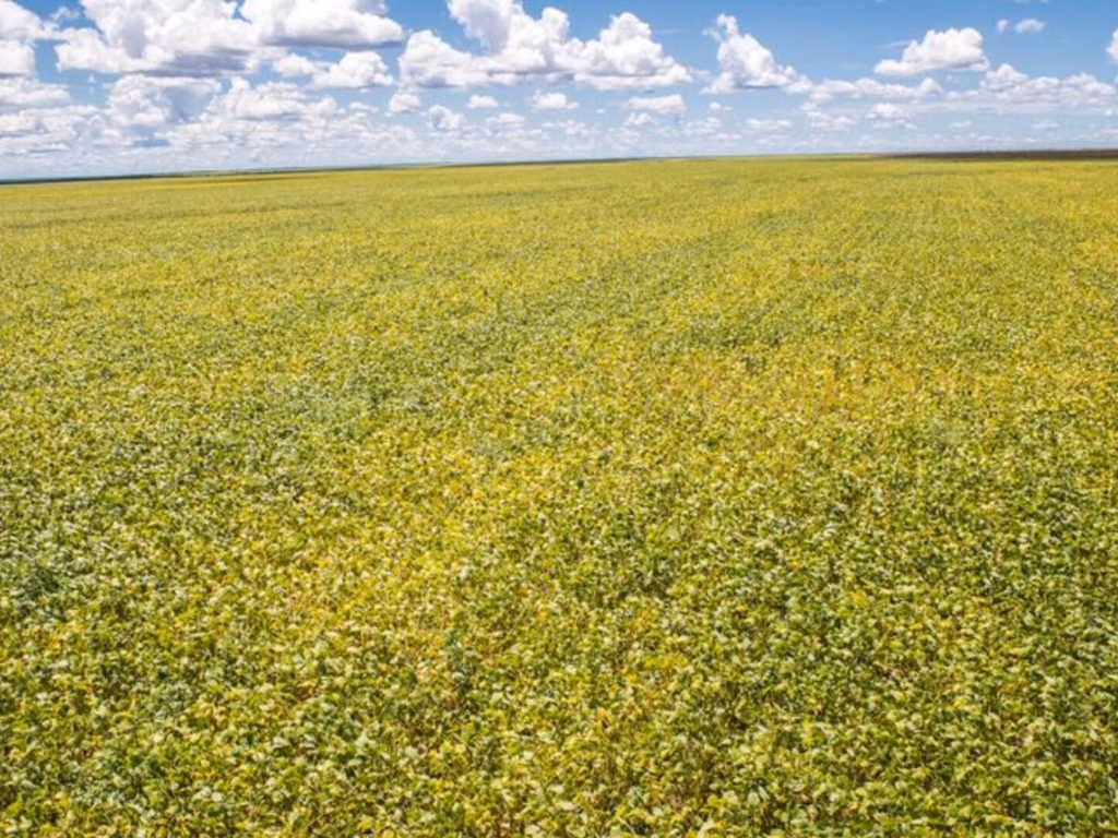 Conselho Monetário Nacional Amplia Normas do Manual de Crédito Rural