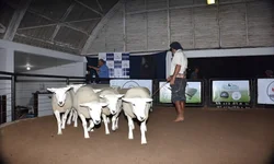 Segunda noite da Mostra de Cinema mergulha no sobrenatural