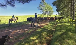 Vencedores da Prova de Eficiência Alimentar serão conhecidos no próximo dia 27