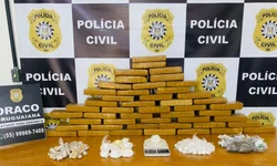 Aplicativo do Governo facilita bloqueio de celulares perdidos ou roubados