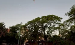 Conheça os vencedores da Califórnia Estudantil