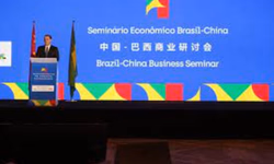 Animais puros e alta genética nas pistas de julgamento de rústicos da Angus