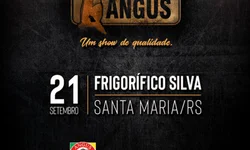 Veterinários questionam prorrogação de instrução sobre Influenza Equina