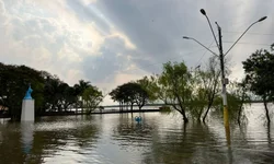 Assistência Farmacêutica representou o município em workshop de Saúde Pública