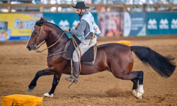 Ingressos para Expointer 2025 já podem ser adquiridos online