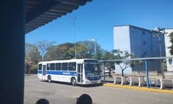 Município recebe alerta do Estado sobre raiva herbívora