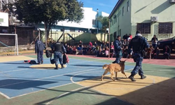 Capes terá R$ 160 milhões do MEC para a educação superior