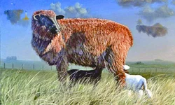 OSPA faz concerto gratuito em Uruguaiana nesta quinta