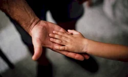 PRF apreende cerca de 50kg de droga