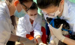 Uruguaiana registra mais um óbito por covid-19