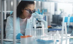 Mais de 11,7 mil alunos retornam às aulas