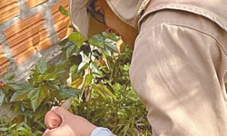 Aeroporto deve registrar crescimento de 25% na movimentação de passageiros