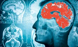 Ambulantes denunciam achaque no Samba na Orla