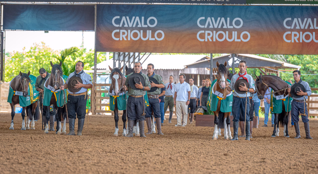 Criadores têm até dia 23 para se inscrever na Expo FICCC 2026