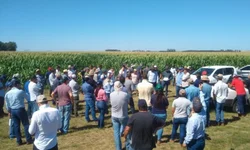 Reparos da Ponte Internacional devem ser finalizados só em 2023