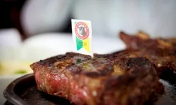 Freio Jovem encerra programação do Cavalo Crioulo na Expointer