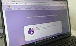 Painel digital mapeia serviços de apoio a mulheres vítimas de violência