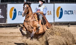 Brasil enfrentará a Argentina na final da Copa América 2021