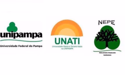 Diretrizes Curriculares recebem contribuições pela internet