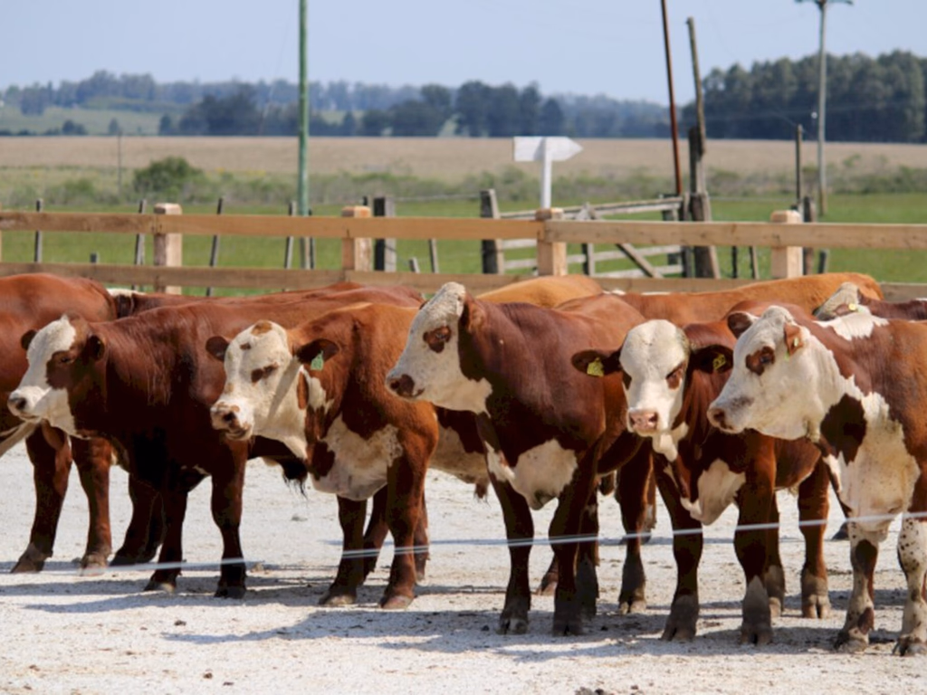 ABHB estende prazo para inscrições para Prova de Avaliação à Campo