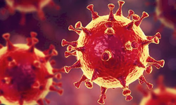 Seminário virtual aborda importância da Radiologia na Covid-1