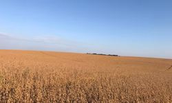 Federarroz entra com pedido para integrar ação sobre os agroquímicos