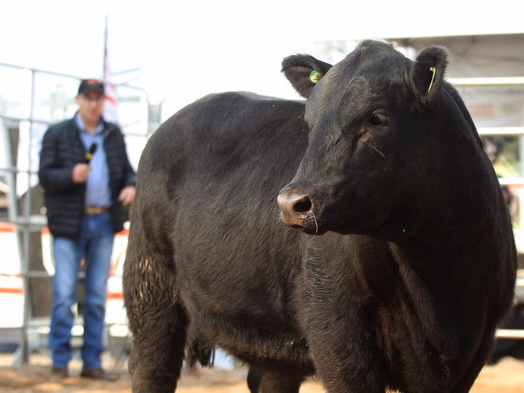 Segunda edição do 2ª Fenagen Promebo vai contar com palestras e julgamento