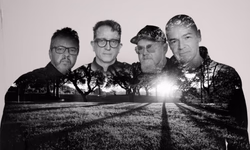 Escolas de samba realizam ensaios e festas neste fim de semana 