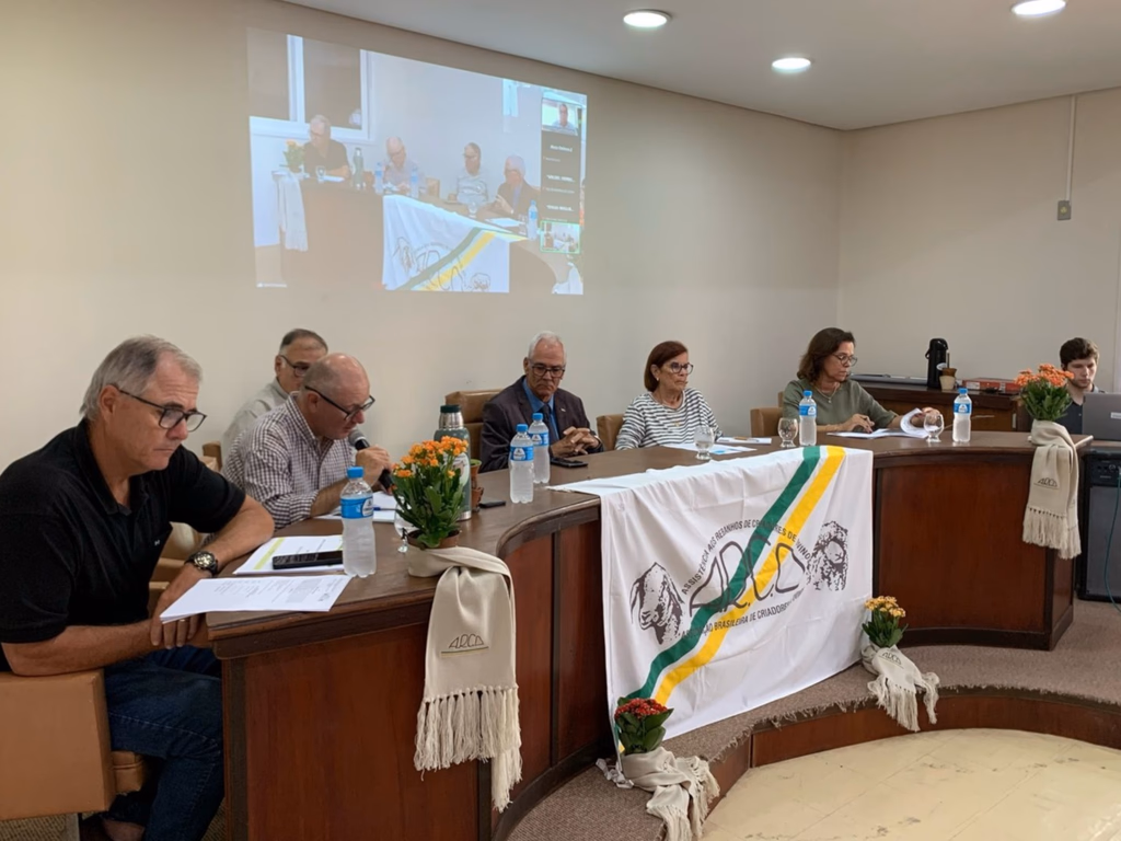 Associação dos Criadores de Ovinos reelege diretoria