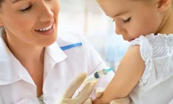 Expointer será lançada na próxima segunda