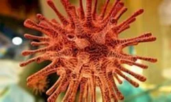 Boletim aponta redução no número de casos ativos