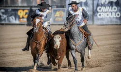 Goleiro do Melgar pega três pênaltis, e Inter é eliminado