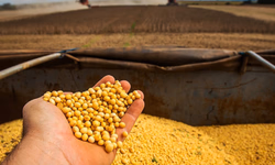 Sicredi Essência anuncia R$ 250 milhões para o Plano Safra