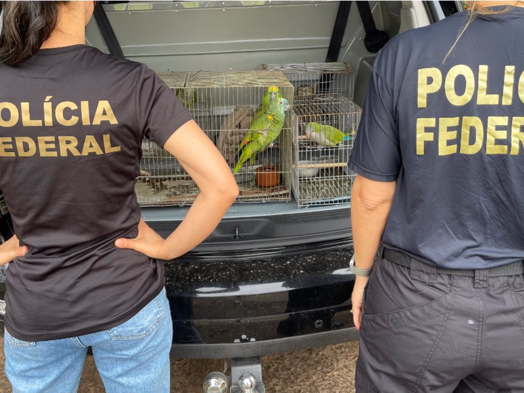 PF entrega pássaros resgatados de cativeiro ao zoológico