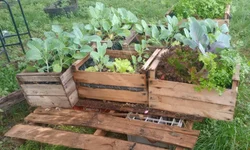 Abertas inscrições para supervisor de programa institucional da Unipampa