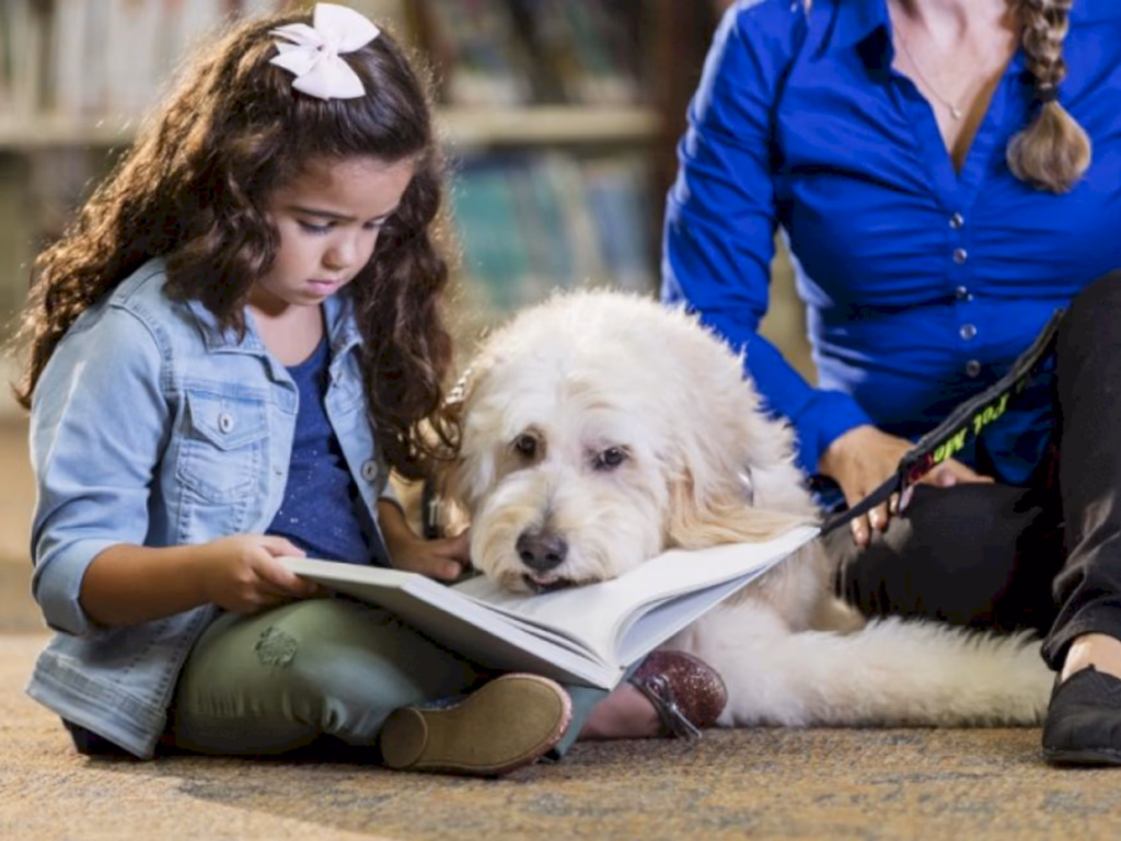 Márcia propõe incluir direito e bem-estar animal no currículo escolar