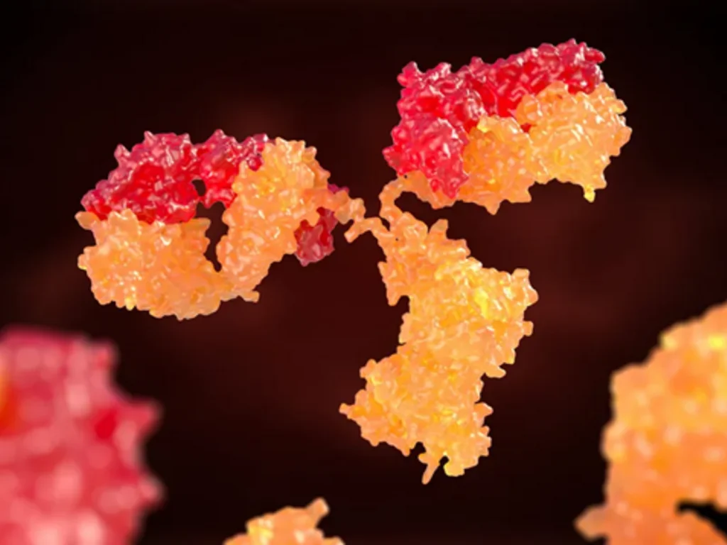 Remédio para nascimento de novos dentes será testado em humanos