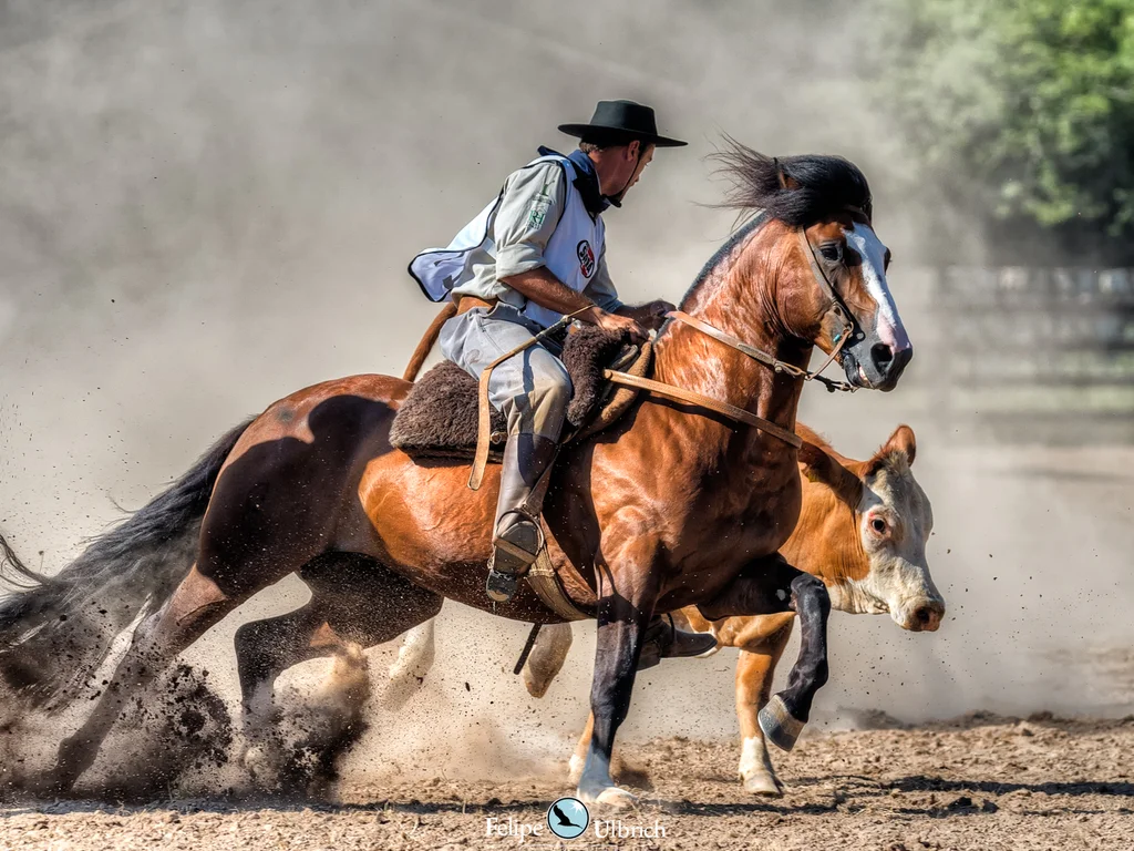 Credenciadoras demonstram alto nível na disputa ao Freio de Ouro